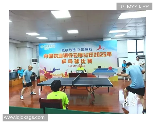 赵芳独家分享乒乓球技巧与心得助你提升球技的秘诀与经验总结